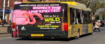Surat AC Bus Wrap Advertising Bus Wrapping Cost, Bus Branding Company India